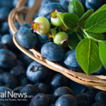 Top Ways Blueberries Help Fight Cancer