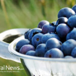 Blueberries: Beautiful Skin Superfood for Anti-Aging Skin Care