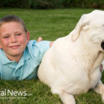 Explaining Pet Loss To Children: Dos And Don’ts