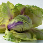 Green Your Plate with Chinese Cabbage
