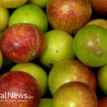 Camu Camu: More Vitamin C Than Any Other Food Source On Earth