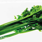 7 Super Health Benefits in Just One Celery Stalk