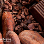 Cacao Nibs Magical Remedy to Burn Fat Fast