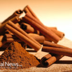 Substances in Cinnamon Affect Breast Cancer Cells