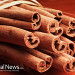 11 Reasons why you should try eating Ceylon cinnamon