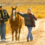 4 Ways to Bond with Your Horse Using Equine Therapy