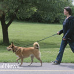 Contagious Viruses Spread at Dog Parks: Even in Cold Weather
