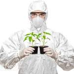 Intro to GMOs Part 2