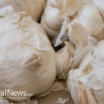4 More Reasons Sprouted Garlic is Good For You Besides Fights Against Cancer