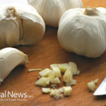 Garlic: Worth the bad breath
