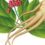 Is Korean Red Ginseng Effective for Erectile Dysfunction?
