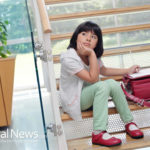 Child Maintenance Service – UK Now Charges for Child Support Help