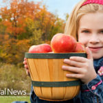 4 Steps to Staying Healthy This Fall