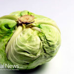 Ulcer Relief With Cabbage And Natural Herbs