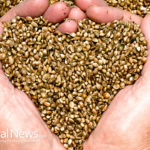 Top 3 Hemp Seed Oil Benefits