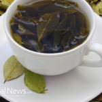 Make Your Own Healing and Beautifying Herbal Tea With Avocado Leave