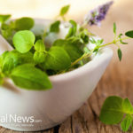 8 Herbs for Healthy Skin & Rejuvenation