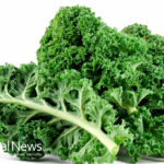 Kale is not just healthy; it’s a medicine