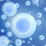 Natural Ways to Boost Stem Cell Production