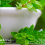 Oregano: Top 8 Specific Health Benefits and Healing Uses of This Herb