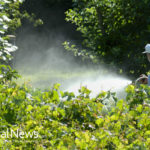 How and Why I Protect Myself from Glyphosate