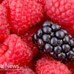 Ageless Antioxidants For Youthfulness — The 5 Best Antioxidant-rich Foods