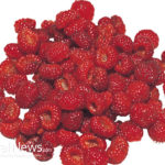 Why Raspberries are so Good for You!