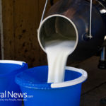Raw Milk Sickens 45 People in Utah, Improper Cleansing of Udders Noted