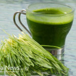 Everything You Ever Wanted to Know About Wheatgrass Juice