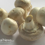 Common mushrooms, anti-inflammation medicine