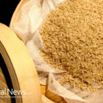 Rice bran increases growth of natural killer cells and improves immunity