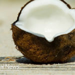 Blood pressure regulation among health benefits of coconut water