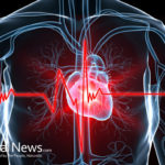 How to Protect the Heart with Diet and Supplements