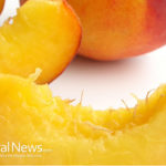 Peaches Force Cancer Cells To Commit Suicide