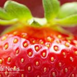 Why Strawberries are so Good for You!