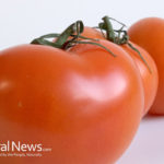 The Amazing Health Benefits of Tomatoes
