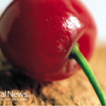 Heat Your Home with Cherry Pits – A Renewable, Biomass Alternative Fuel