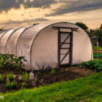 10 Tips for Greenhouse Growing Beginners