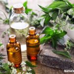 6 Essential Oils That Can Help Curb Anxiety