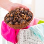 Soap Nuts: Washing Clothes Organically