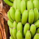 Unpalatable Green Bananas – Follow This Suggestion to Make Them Delicious