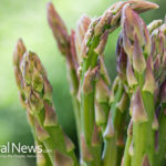 Go Green Today with this Great Asparagus Dip