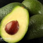 Avocado: An Anti-Aging Superfood