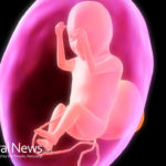 Toxic Pesticides from GM Food Found in Unborn Babies