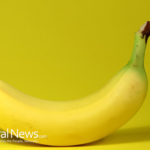 Genetically Modified “Super Banana” Trials Have Already Begun in the US