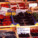 The Health Benefits of Aronia Berries (Chokeberries)