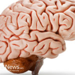 Quench your Brain: Six Ways to Beat Brain Inflammation, Brain Fog, Depression