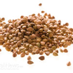 Top Benefits & Side Effects Of Coriander Seeds