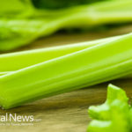 Celery: The Humble Veggie with Cancer Healing Properties