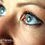 5 Foods to Help Improve Eye Health